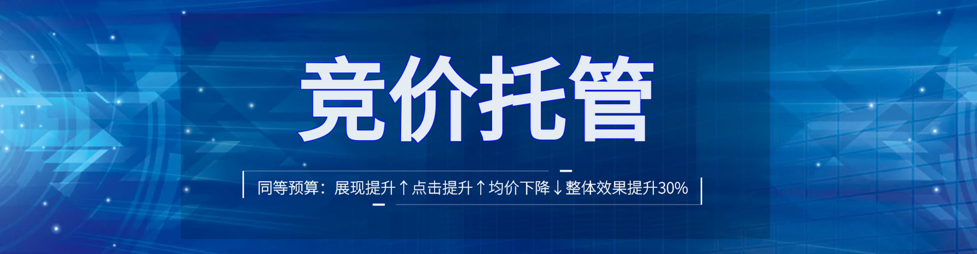 龙子湖sem竞价